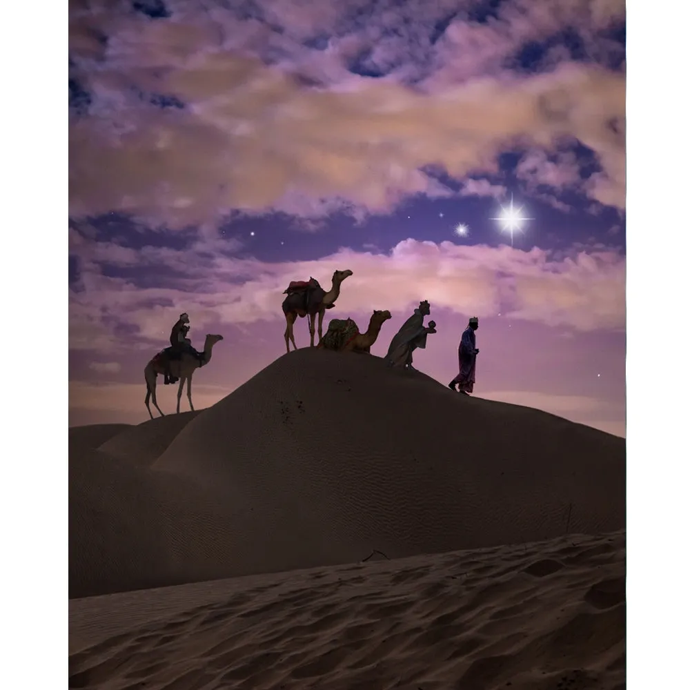 Three Wise Men Printed Backdrop